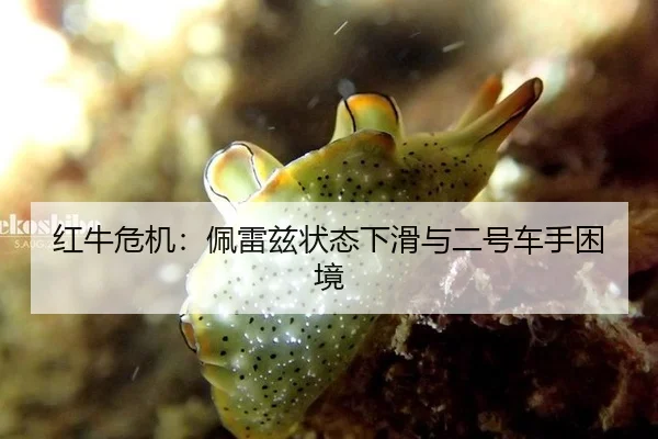 红牛危机：佩雷兹状态下滑与二号车手困境