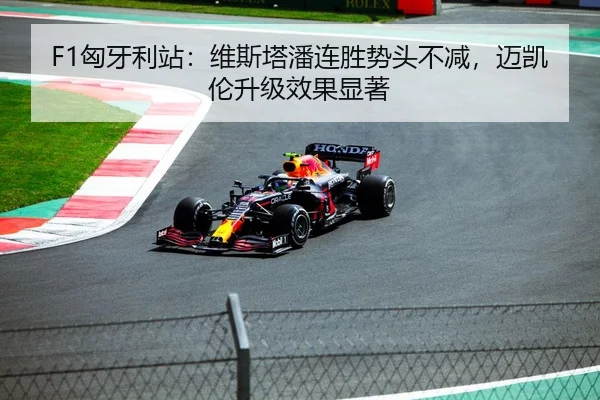 F1匈牙利站：维斯塔潘连胜势头不减，迈凯伦升级效果显著